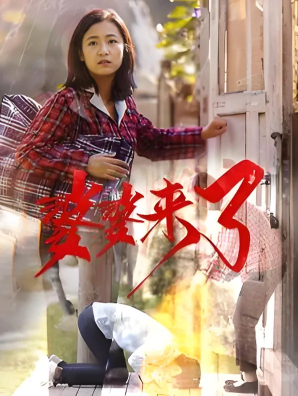 婆婆来了海报