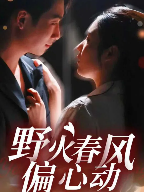 野火春风偏心动海报