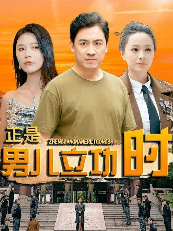 正是男儿立功时海报