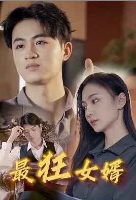 最狂女婿海报