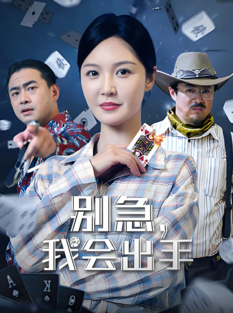 别急我会出手海报