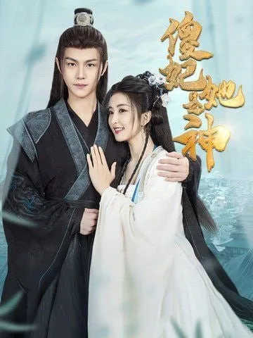 傻妃她是神海报