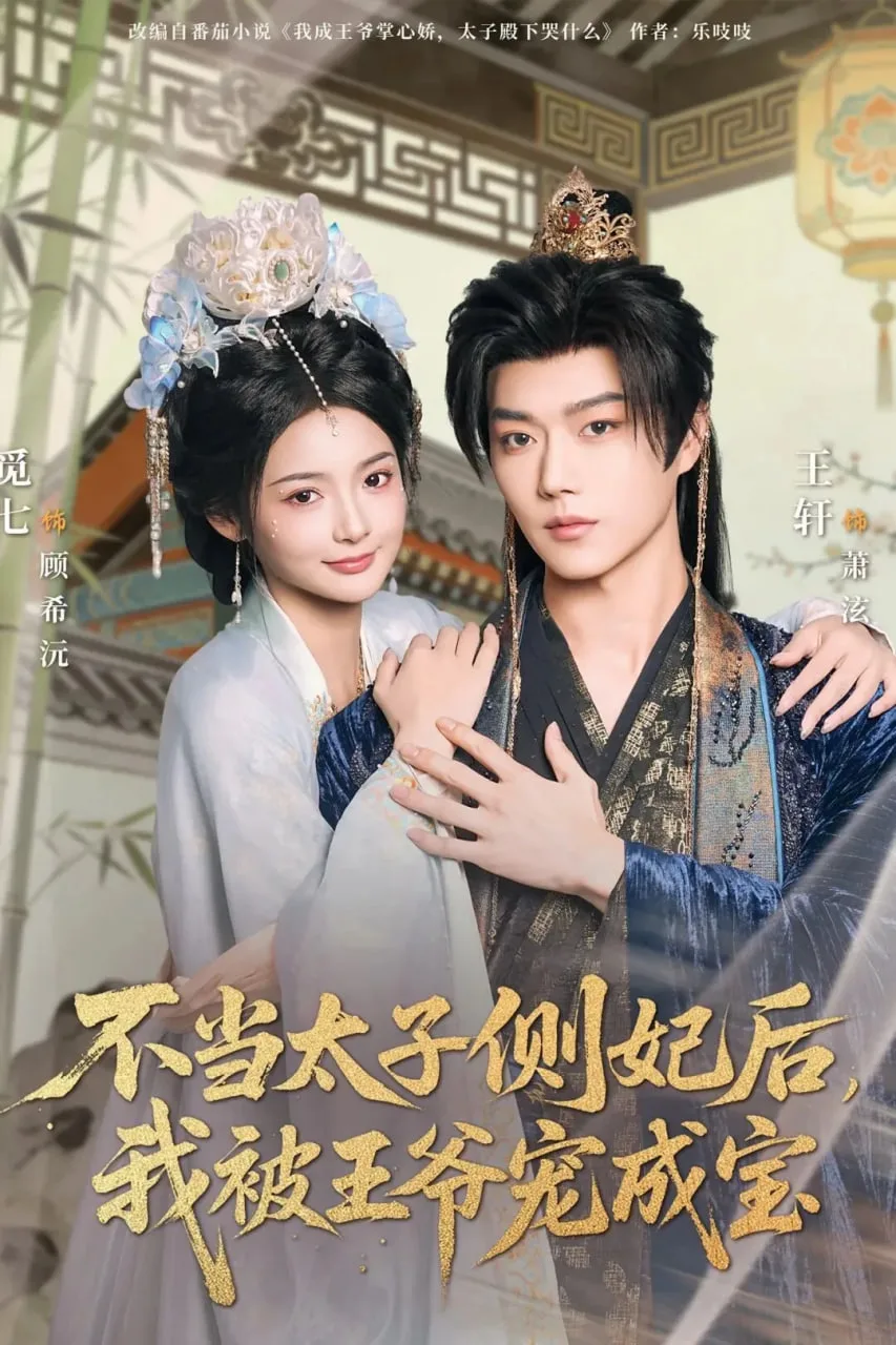 不当太子侧妃后，我被王爷宠成宝海报