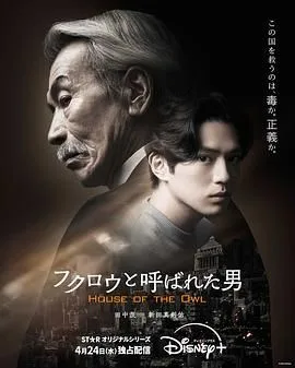 黑幕风云海报
