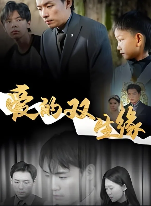 爱的双生缘海报