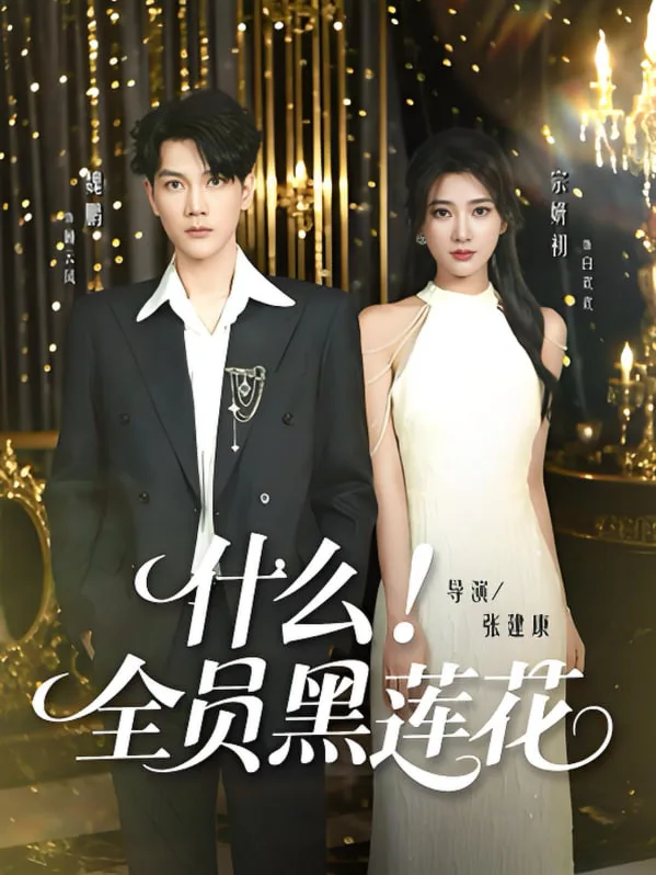 什么全员黑莲花海报