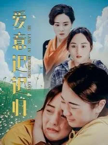 爱意迟迟归海报