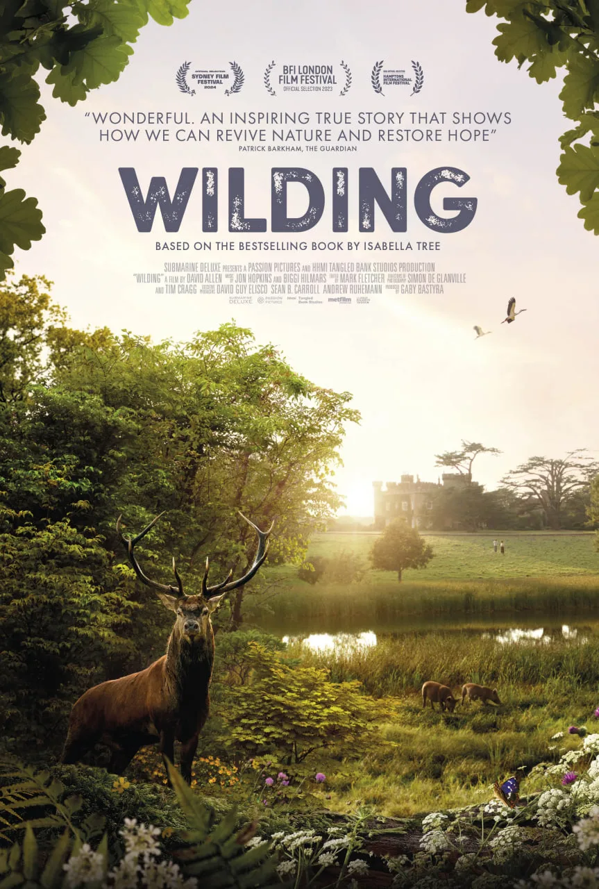 野趣海报