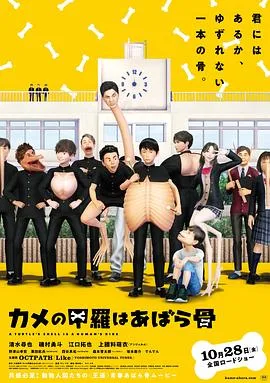 乌龟的壳其实是肋骨海报
