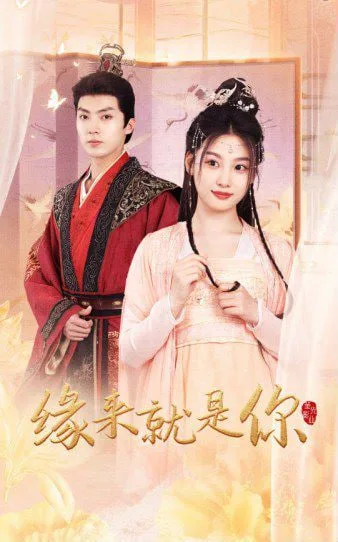 新版：缘来就是你海报