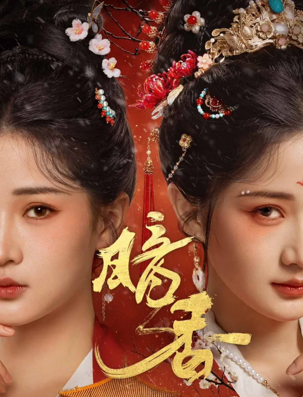 暗香海报