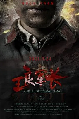 王良军长海报