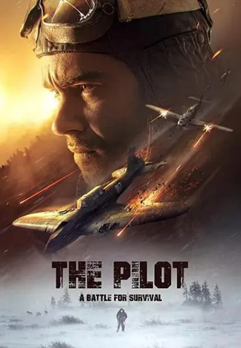 飞行员海报