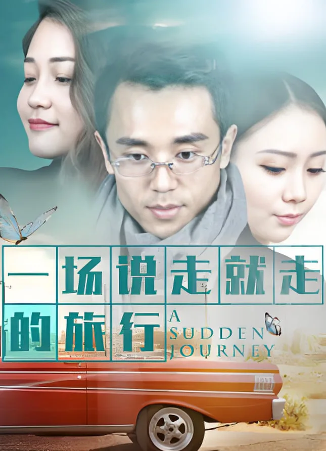 一场说走就走的旅行海报