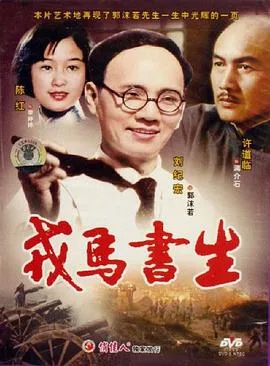戎马书生海报