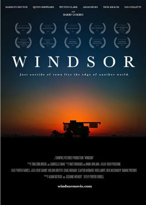 温莎之谜海报