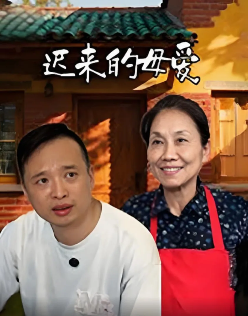 迟来的母爱海报