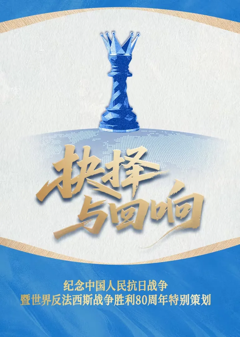 抉择与回响海报