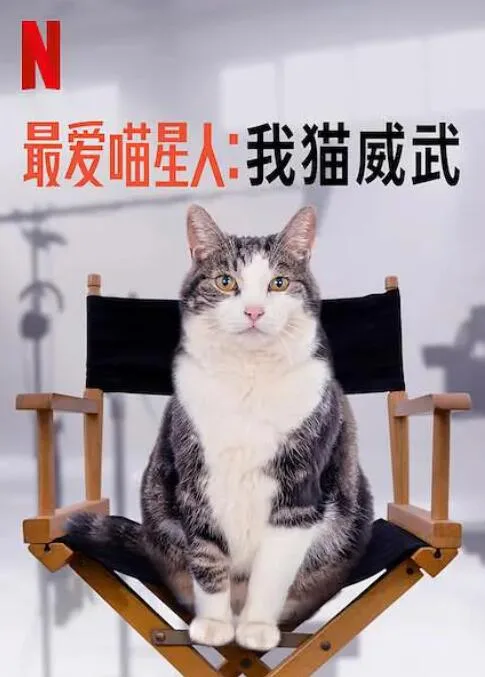 最爱喵星人：我猫威武海报