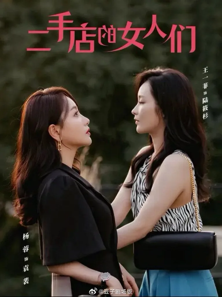 二手店的女人们（二十九）海报