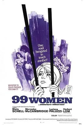 九十九个女人海报